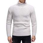 Herren Rollkragenpullover mit strukturiertem Rippdesign R&B