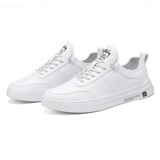 Atmungsaktive Herren-Sneaker R&B