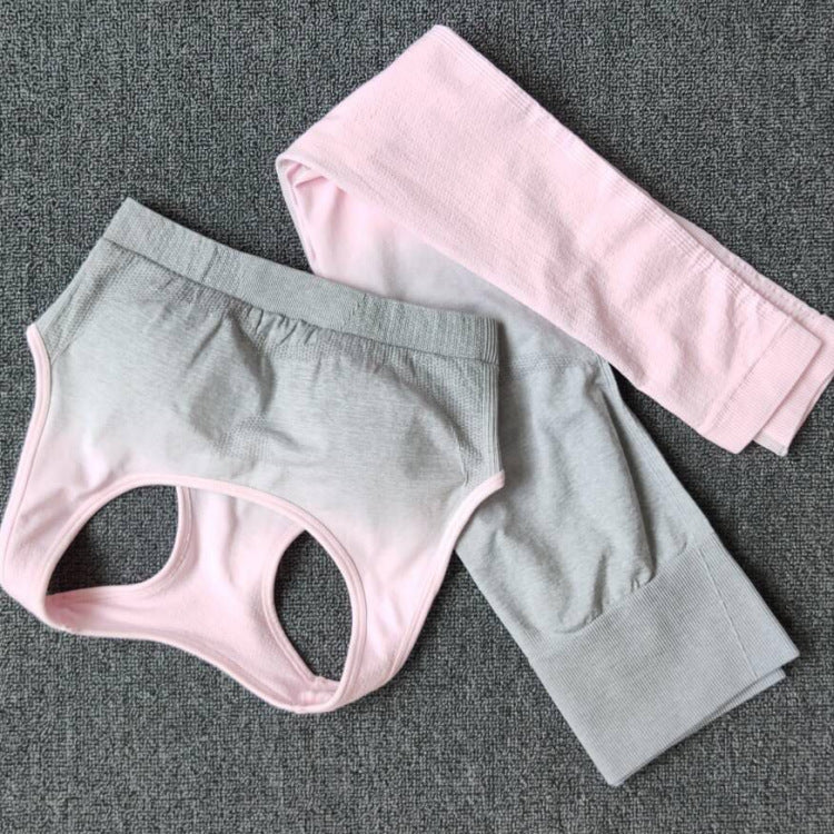 Damen Sportliches Oberteil mit Hochbund und atmungsaktiven Shorts R&B