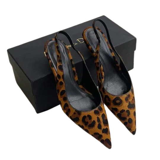 Leopard-Spitzentipps R&B
