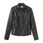 R&B | High Royalty Jacke
