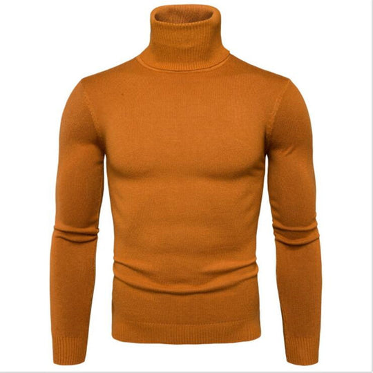 Herren Rollkragenpullover aus feinem Strick R&B