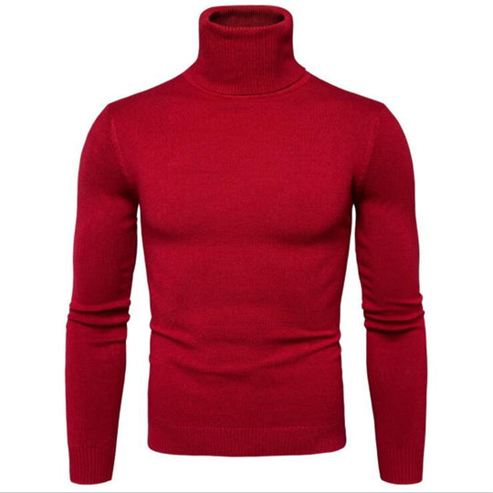 Herren Rollkragenpullover aus feiner Strickware R&B