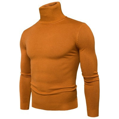 Herren Rollkragenpullover aus weicher Merinowolle mit eleganter Struktur