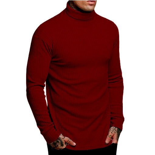 Herren modischer Rollkragenpullover R&B