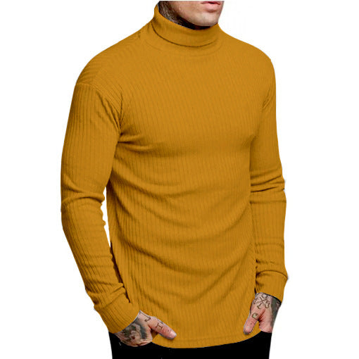 Herren modischer Rollkragenpullover R&B