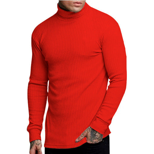 Herren modischer Rollkragenpullover R&B