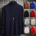 Herren Rollkragenpullover aus hochwertiger Strickware mit lässiger Passform