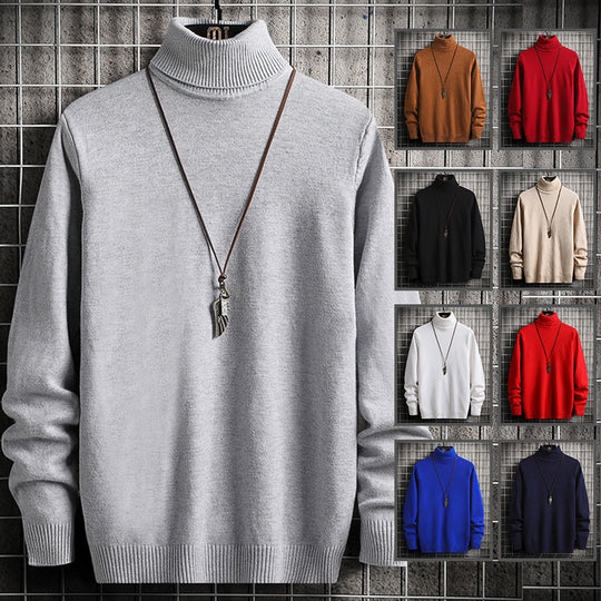 Herren Rollkragenpullover aus hochwertiger Strickware mit lässiger Passform R&B