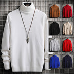 Herren Rollkragenpullover aus hochwertiger Strickware mit lässiger Passform