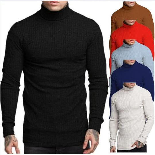Herren modischer Rollkragenpullover R&B