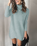 Damen Hobo-Sweaterkleid mit hohem Kragen und Rippstruktur R&B