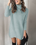 Damen Hobo-Sweaterkleid mit hohem Kragen und Rippstruktur R&B