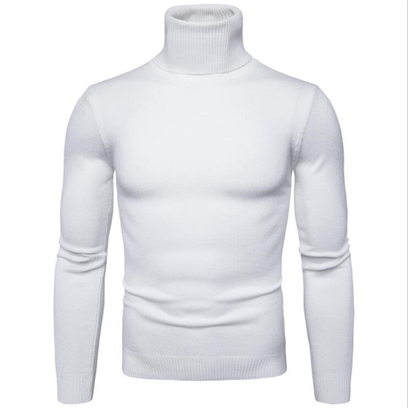 Herren Rollkragenpullover aus feinem Strick R&B