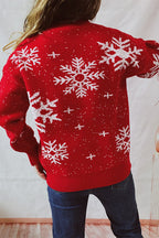 R&B | Weihnachtsmuster Gestrickter Rundhalsausschnitt Langarmpullover