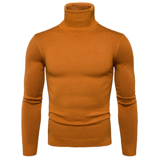 Herren Rollkragenpullover aus weicher Merinowolle mit eleganter Struktur R&B