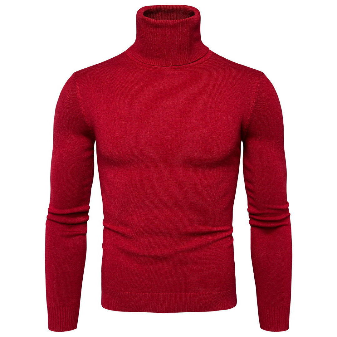 Herren Rollkragenpullover aus weichem Strick R&B