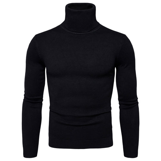 Herren Rollkragenpullover aus weicher Merinowolle mit eleganter Struktur R&B