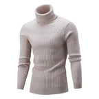 Herren Rollkragenpullover mit strukturierter Textur
