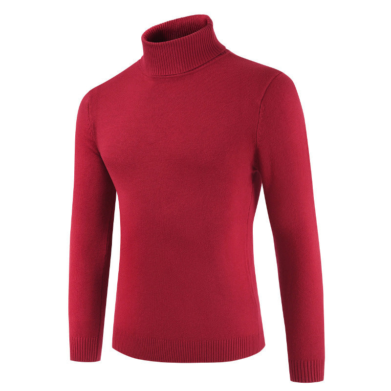 Damen Rollkragenpullover aus feiner Baumwollmischung R&B