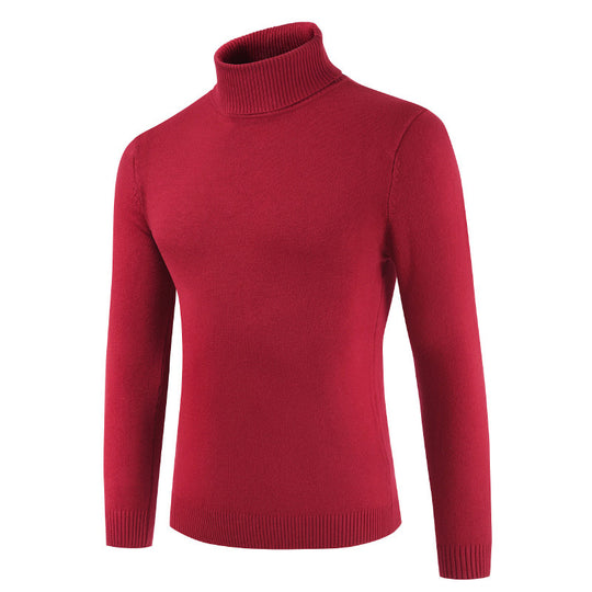 Damen Rollkragenpullover aus feiner Baumwollmischung R&B