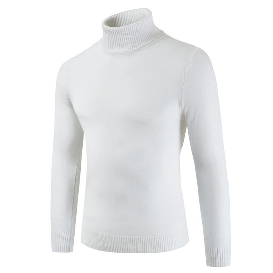 Damen Rollkragenpullover aus feiner Baumwollmischung R&B