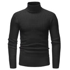 Herren Rollkragenpullover mit strukturiertem Zopfmuster