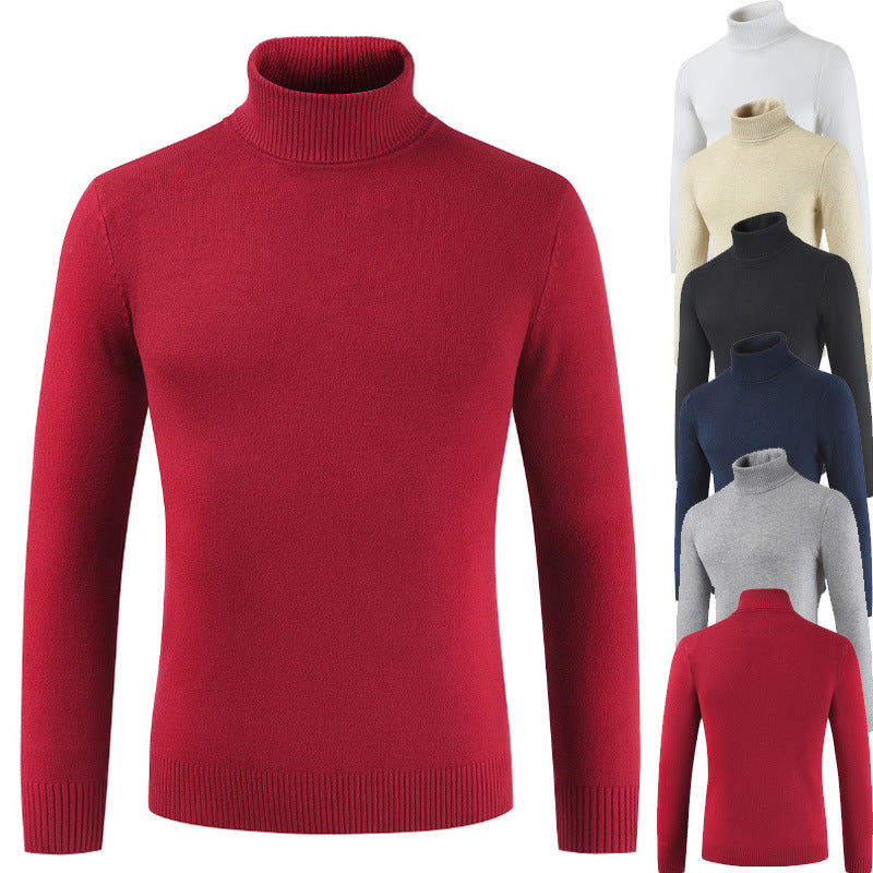 Damen Rollkragenpullover aus feiner Baumwollmischung