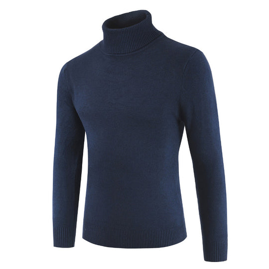 Damen Rollkragenpullover aus feiner Baumwollmischung R&B