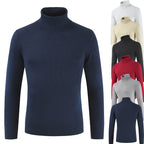 Damen Rollkragenpullover aus feiner Baumwollmischung