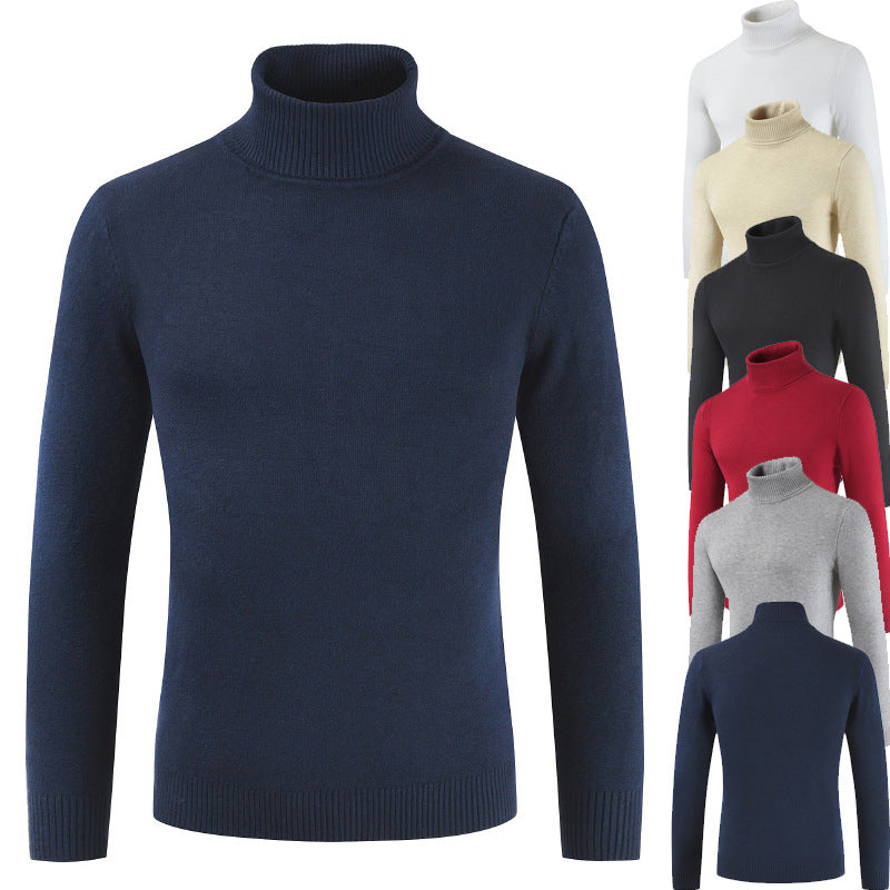 Damen Rollkragenpullover aus feiner Baumwollmischung