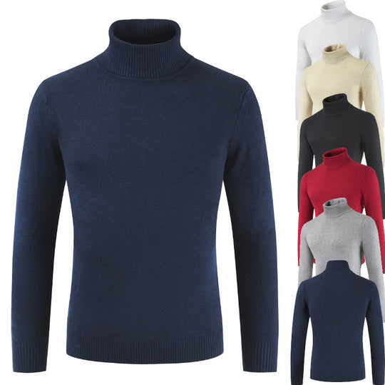 Damen Rollkragenpullover aus feiner Baumwollmischung R&B
