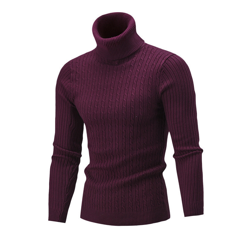 Herren Rollkragenpullover aus hochwertiger Strickware mit strukturiertem Design
