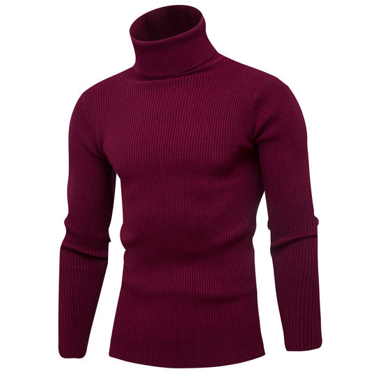 Herren eleganter Rollkragenpullover aus weichem Strick R&B