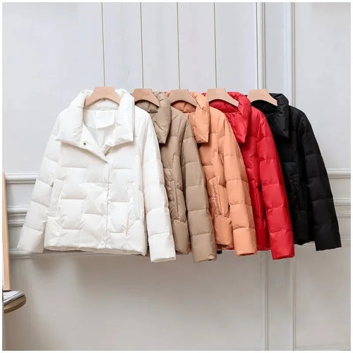 R&B | Wattierte Winterjacke