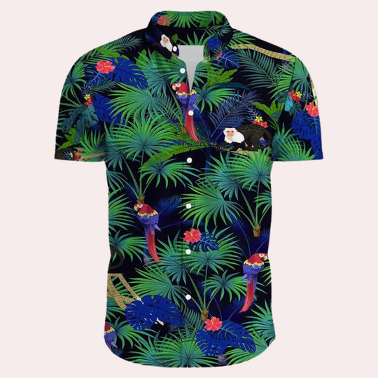 R&B | Farbenfrohe und Trendige Hawaii-Hemd für Männer