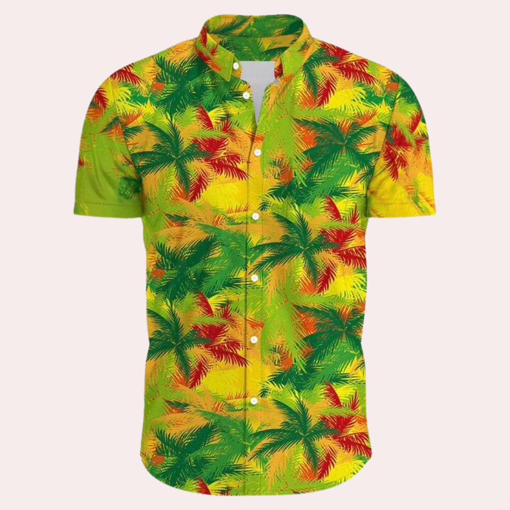 R&B | Farbenfrohe und Trendige Hawaii-Hemd für Männer
