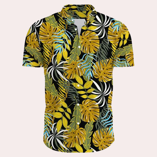 R&B | Farbenfrohe und Trendige Hawaii-Hemd für Männer