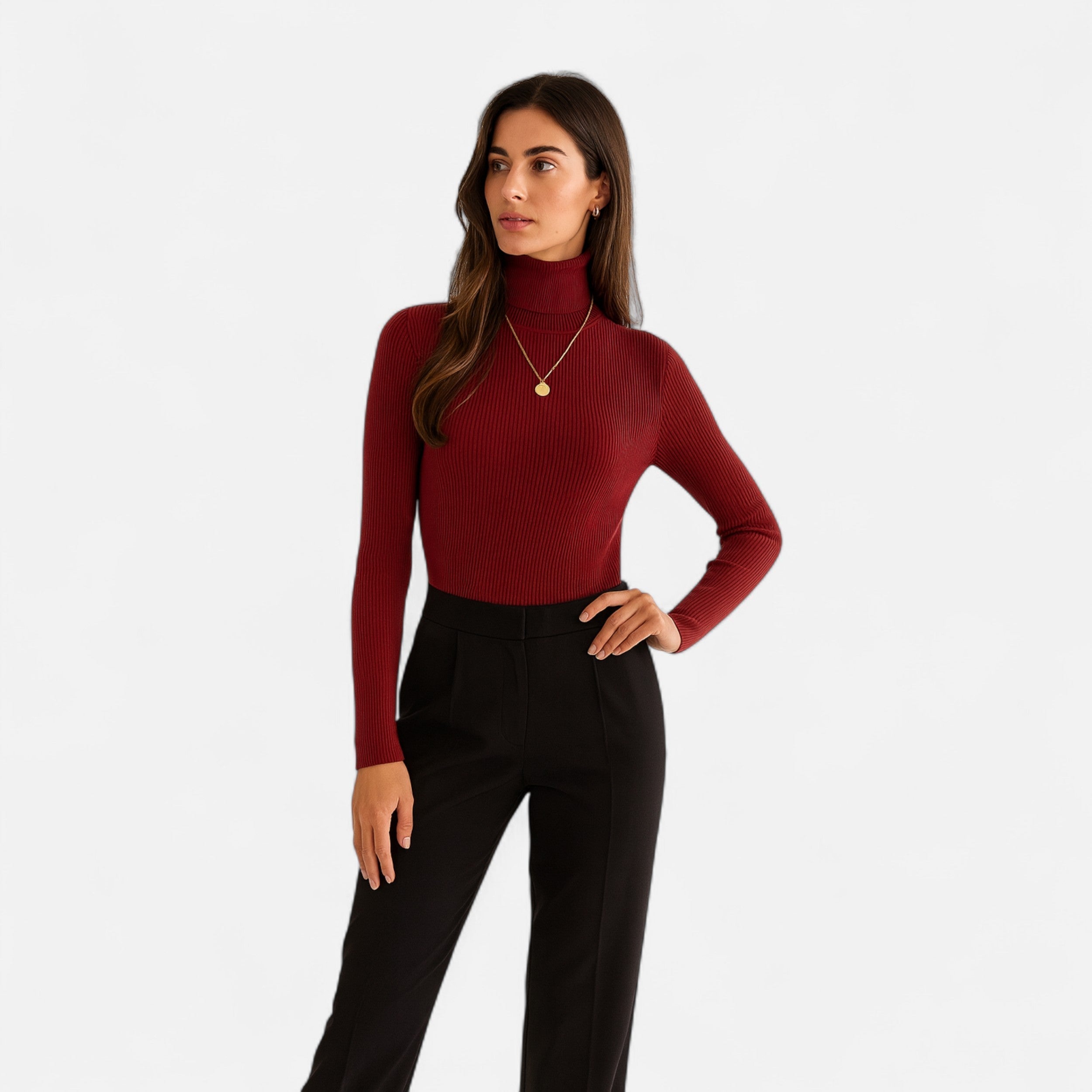 R&B | Rollkragenpullover Langarm Gerippt