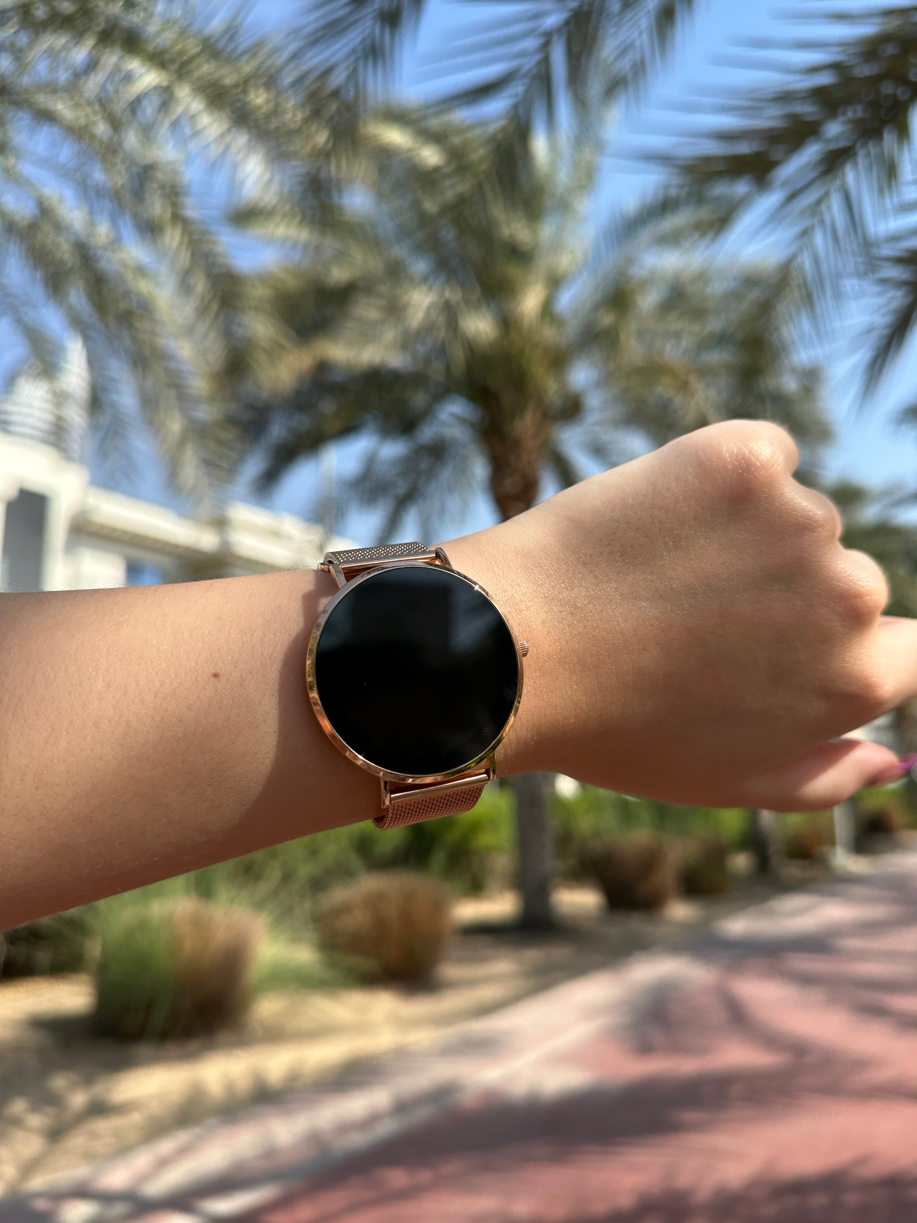 Smartwatch