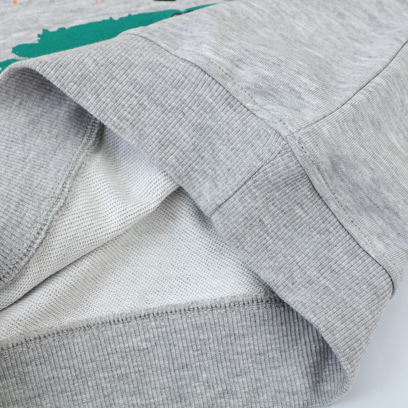 Jungen Sweatshirt mit lR&Bendigem Dinosaurier-Motiv R&B