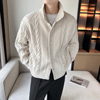 Herren modischer Strickjacke mit Zopfmuster und modernem Kragen