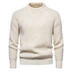 Herren Grobstrickpullover mit hohem Kragen und zeitlosem Design R&B