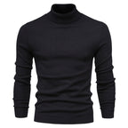 Herren modischer Rollkragenpullover aus feiner Merinowolle R&B