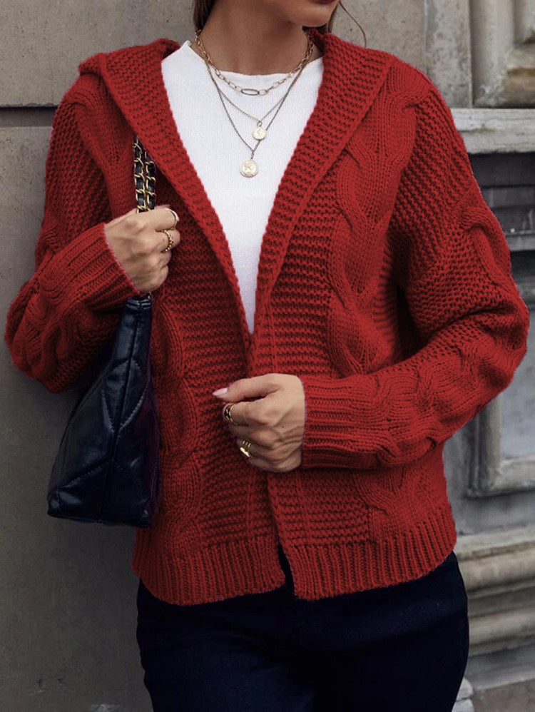 Damen Grobstrickjacke mit Kapuze und aufwendigem Zopfmuster R&B
