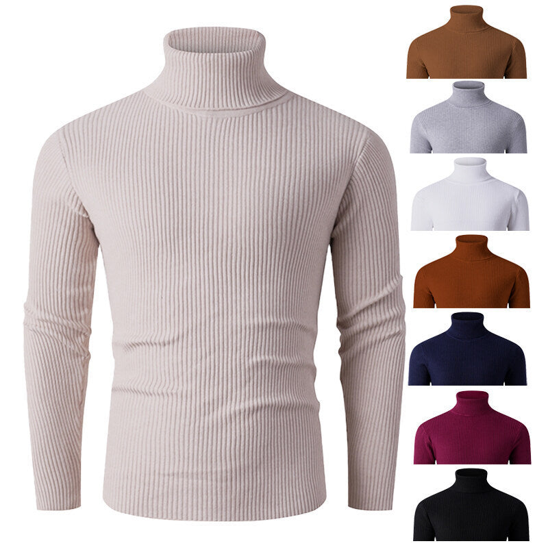 Herren eleganter Rollkragenpullover aus strukturiertem Strickmaterial R&B