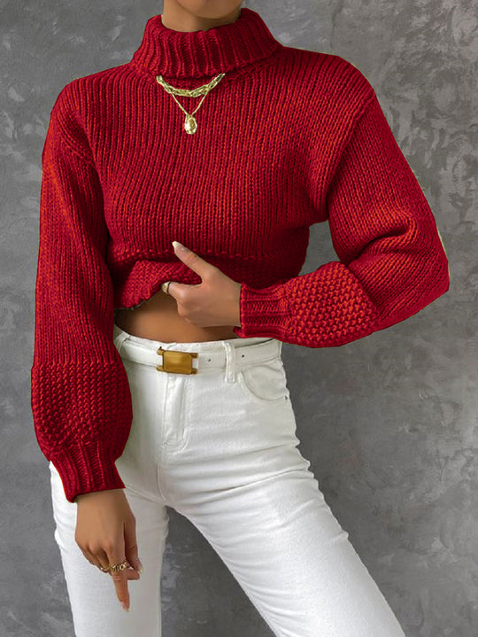 Damen Grobstrick Pullover mit hohem Kragen R&B