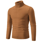 Herren eleganter Rollkragenpullover mit modernem Zopfmuster R&B