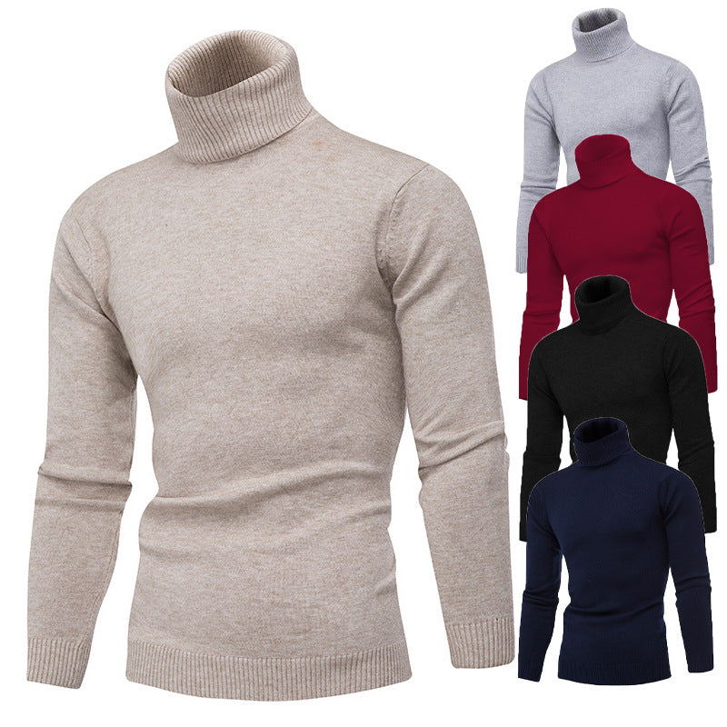 Herren Strickpullover mit hohem Kragen R&B