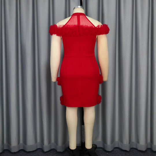 Damen elegantes Kleid mit fransigen Akzenten R&B